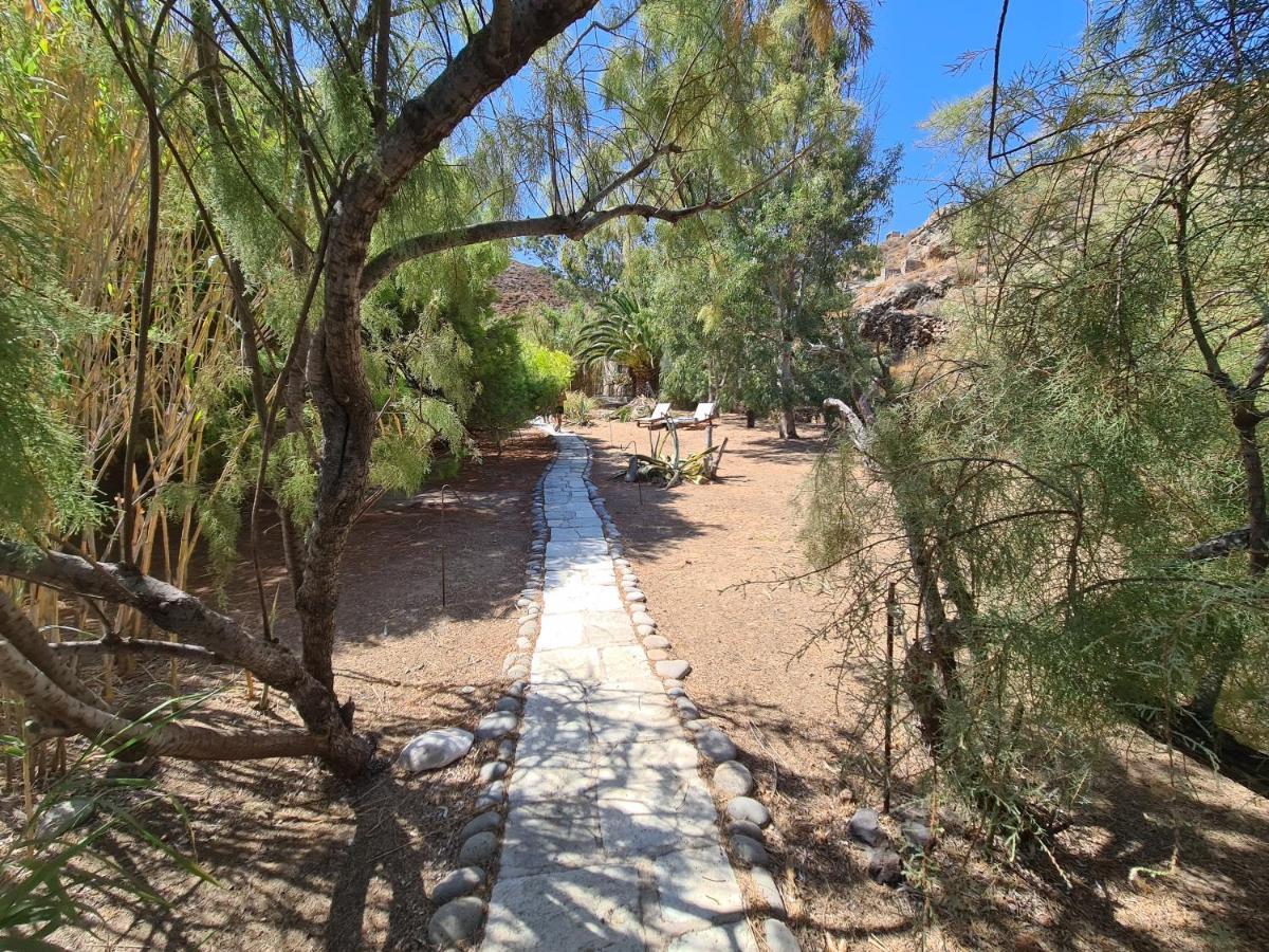 Nature Eco Living Serifos 利瓦迪奥 外观 照片
