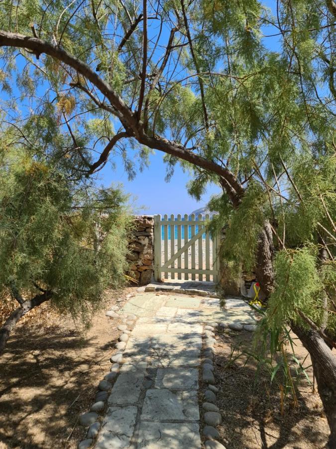 Nature Eco Living Serifos 利瓦迪奥 外观 照片